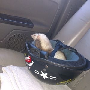 Meet your Posher, Jeff